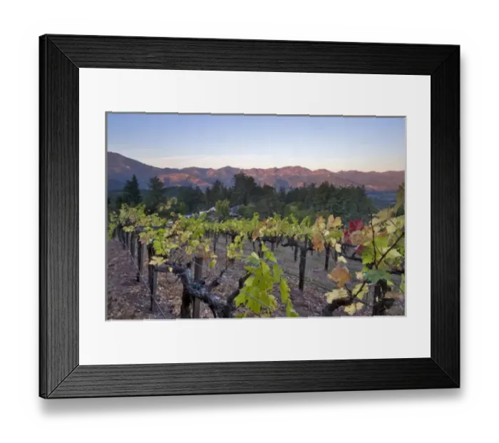 Framed Print : Graeser Winery on Petrified Forest Road, near Calistoga, Napa Valley Wine Country, California, USA Framed Print : Graeser Winery on Petrified Forest Road, near Calistoga, Napa Valley Wine Country, California, USA