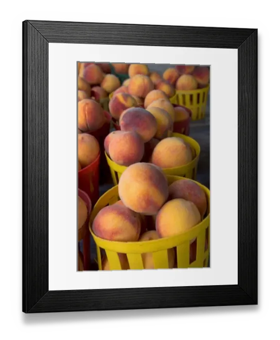 Framed Print : Peaches being sold at a fruit stand near Albany, Georgia Framed Print : Peaches being sold at a fruit stand near Albany, Georgia
