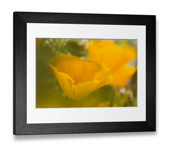 Framed Print : USA, North America, California