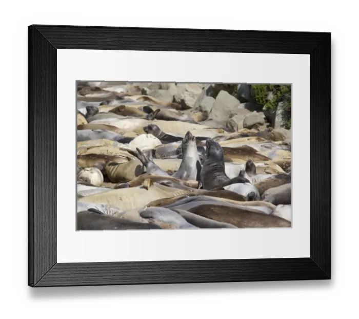 Framed Print : USA, North America, California Framed Print : USA, North America, California