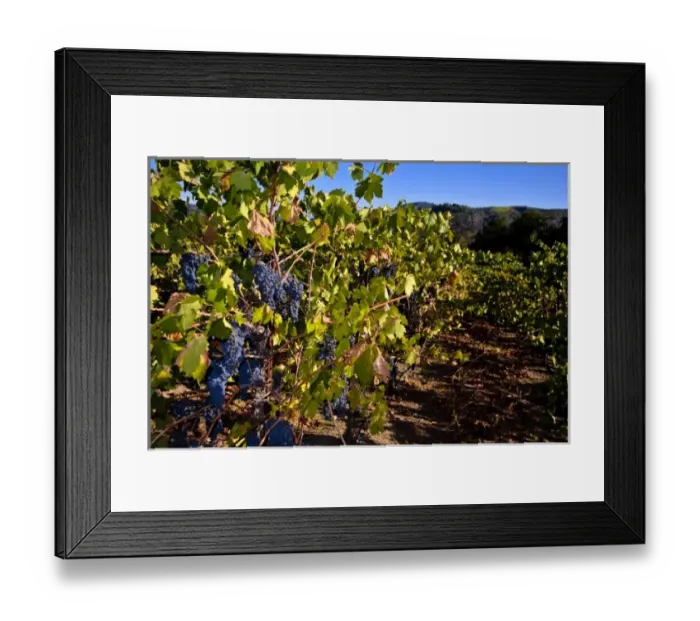 Framed Print : USA, North America, California Framed Print : USA, North America, California