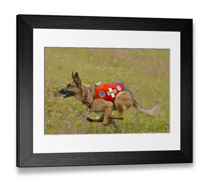 Framed Print : USA, North America, Colorado