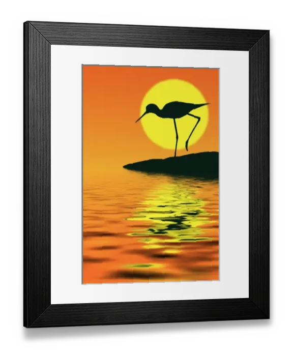 Framed Print : USA, North America, Florida Framed Print : USA, North America, Florida