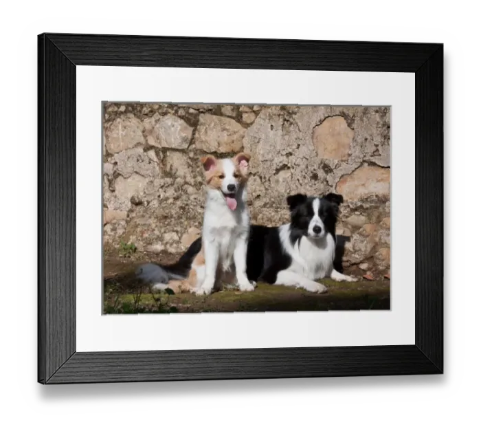 Framed Print : USA, North America, California Framed Print : USA, North America, California
