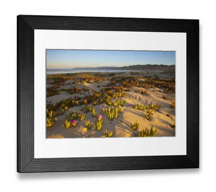 Framed Print : USA, North America, California Framed Print : USA, North America, California