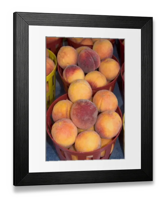 Framed Print : USA, North America, Georgia Framed Print : USA, North America, Georgia