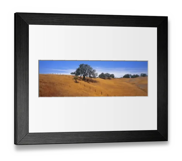 Framed Print : USA, California, Coast Range. Live oaks adorn the Coast Range in California Framed Print : USA, California, Coast Range. Live oaks adorn the Coast Range in California