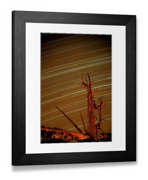 Framed Print : USA, California, Inyo National Forest, White Mountains. Star trails over bristlecone pine Framed Print : USA, California, Inyo National Forest, White Mountains. Star trails over bristlecone pine