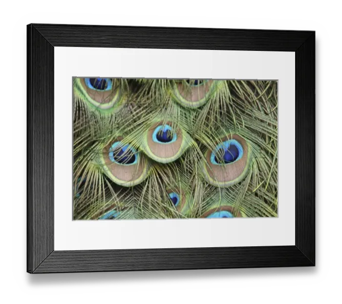Framed Print : USA, North America, California Framed Print : USA, North America, California