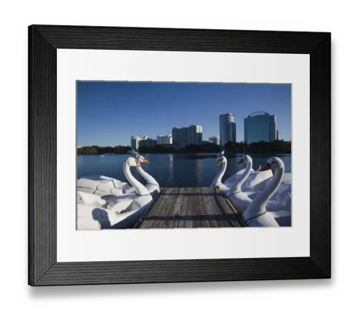 Framed Print : USA, Florida, Orlando, Lake Eola, swanboats