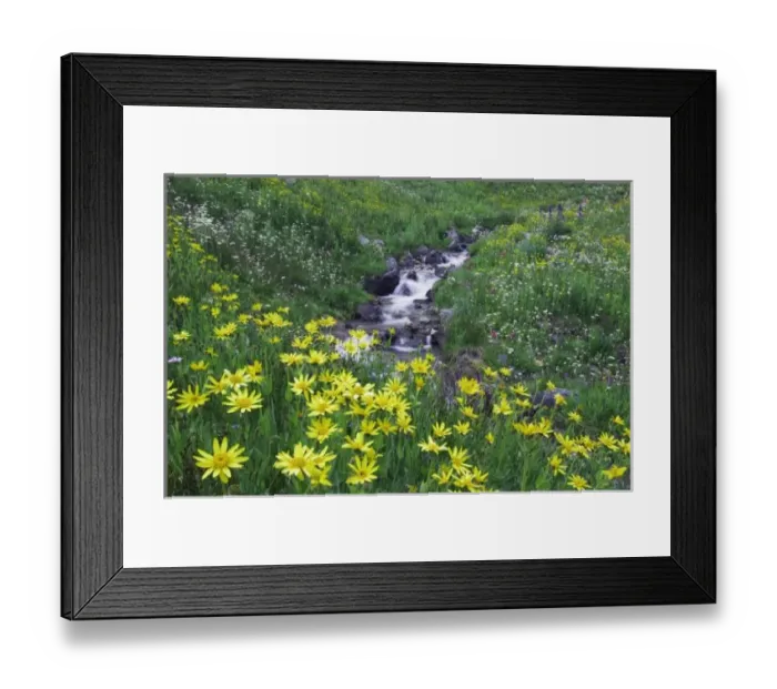Framed Print : USA, North America, Colorado
