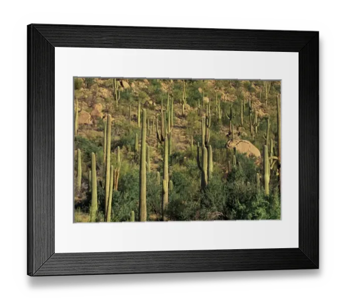 Framed Print : USA, North America, Arizona Framed Print : USA, North America, Arizona
