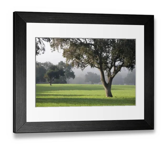Framed Print : USA, North America, California Framed Print : USA, North America, California