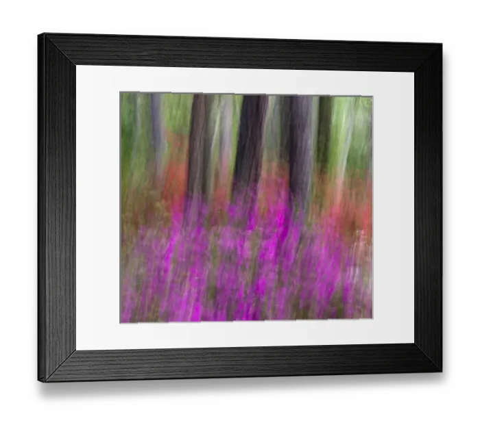 Framed Print : Callaway Gardens, Georgia