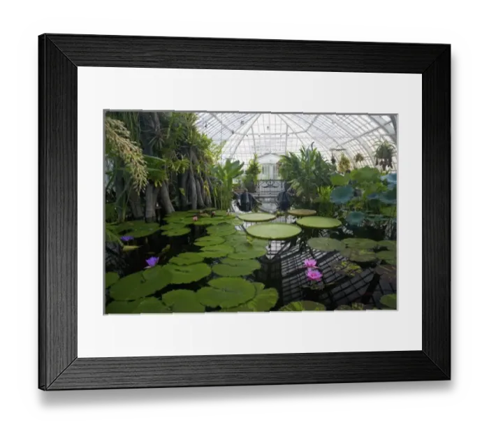 Framed Print : USA, North America, California Framed Print : USA, North America, California