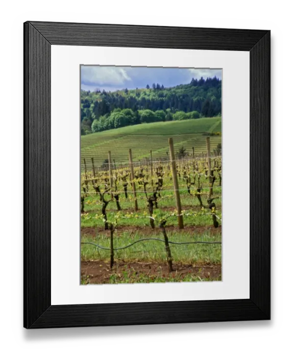 Framed Print : USA, North America, California Framed Print : USA, North America, California