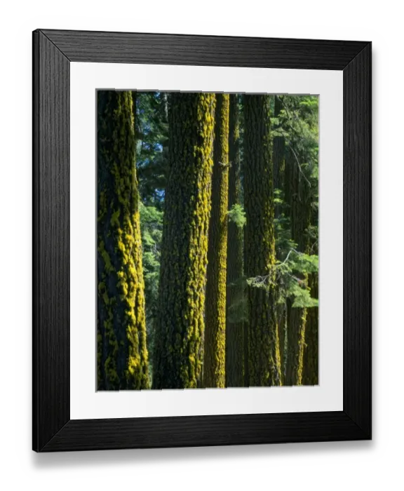 Framed Print : USA, North America, California Framed Print : USA, North America, California