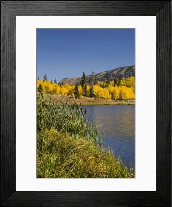 Framed Print : USA, Colorado, Uncompahgre National Forest, Beaver Lake Framed Print : USA, Colorado, Uncompahgre National Forest, Beaver Lake