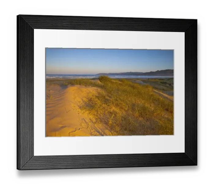 Framed Print : Sunrise lights the sand dunes and grasses at Pismo Beach, California