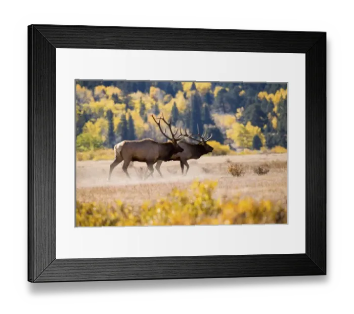 Framed Print : USA, North America, Colorado Framed Print : USA, North America, Colorado