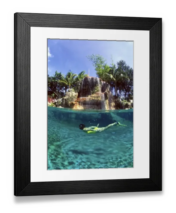 Framed Print : Snorkeling in the Venetian Pool in Coral Gables. (MR) Framed Print : Snorkeling in the Venetian Pool in Coral Gables. (MR)