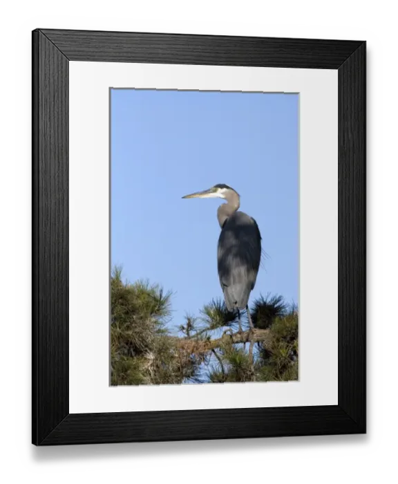 Framed Print : USA, North America, California Framed Print : USA, North America, California