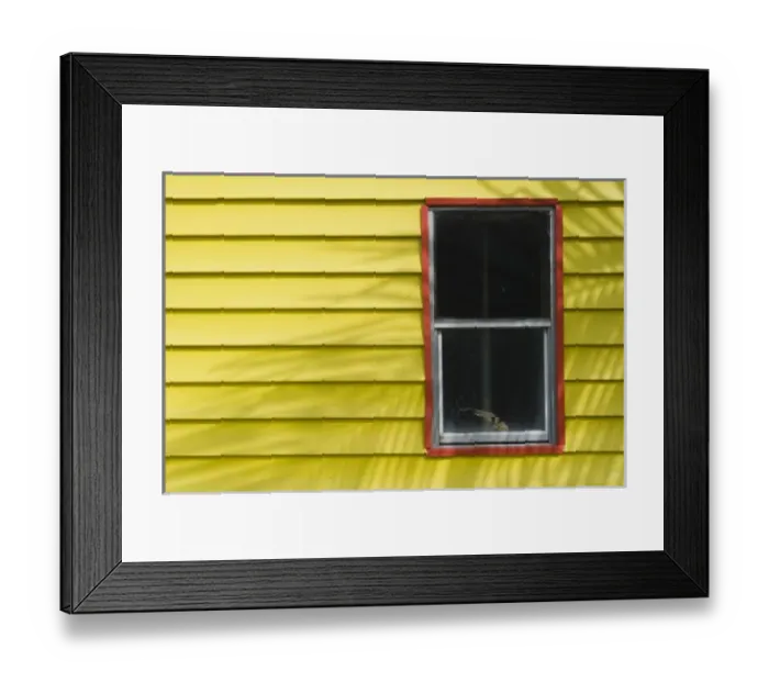 Framed Print : USA, North America, Florida Framed Print : USA, North America, Florida