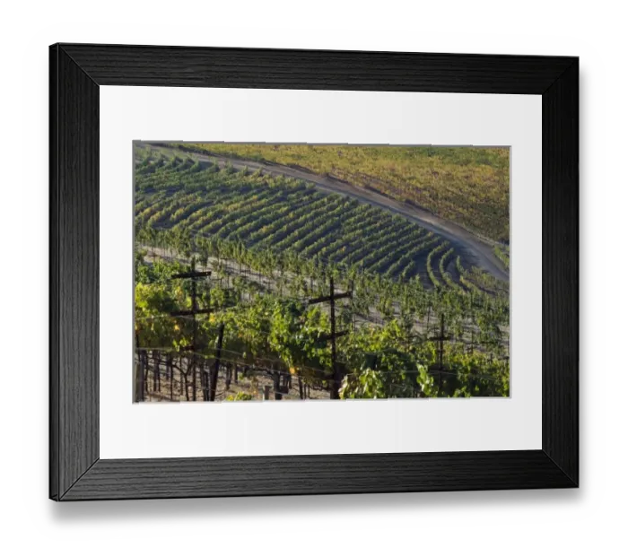 Framed Print : USA, North America, California