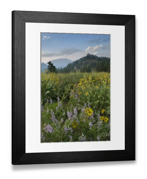 Framed Print : USA, North America, California Framed Print : USA, North America, California