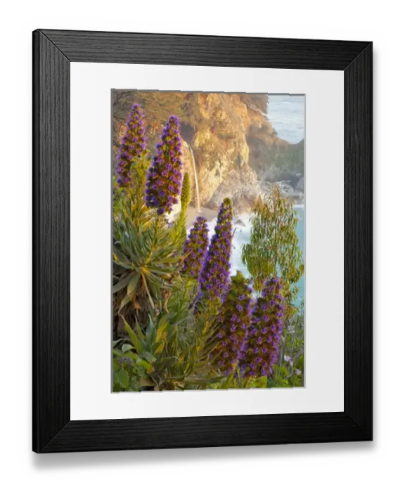 Framed Print : USA, North America, California Framed Print : USA, North America, California