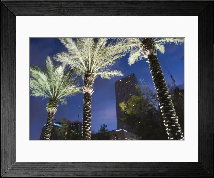 Framed Print : USA, Florida, Miami: Downtown, Financial District and Palms  /  Dawn