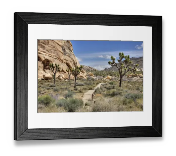 Framed Print : USA, North America, California