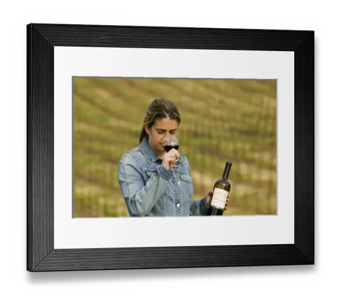 Framed Print : USA, North America, California Framed Print : USA, North America, California