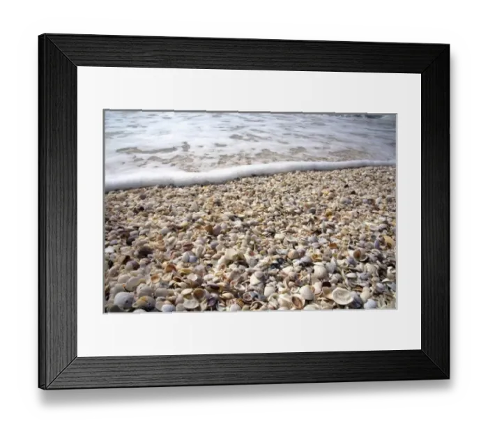Framed Print : USA, North America, Florida Framed Print : USA, North America, Florida