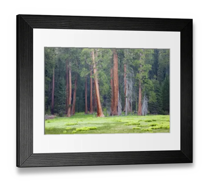 Framed Print : USA, North America, California Framed Print : USA, North America, California
