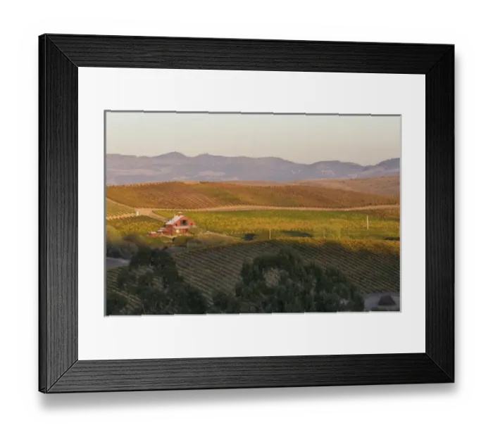 Framed Print : USA, California, Napa Valley. Sunset light over house in the vineyard covered rolling Framed Print : USA, California, Napa Valley. Sunset light over house in the vineyard covered rolling