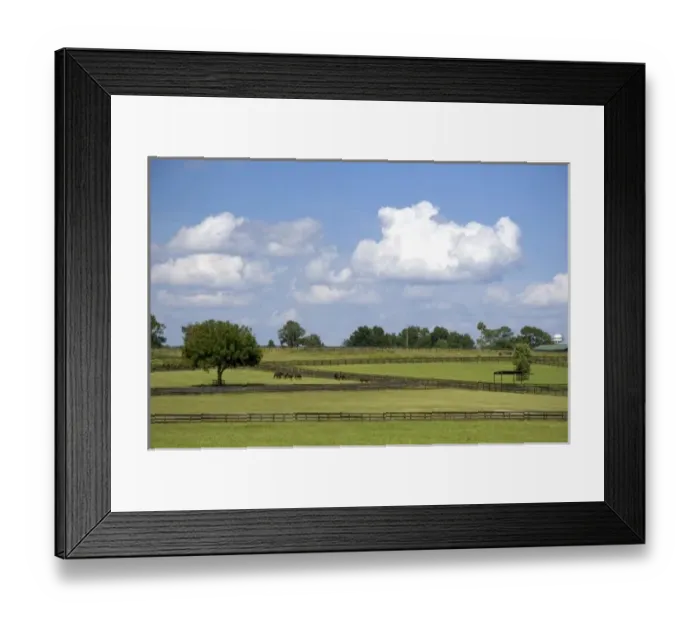 Framed Print : USA, North America, Florida Framed Print : USA, North America, Florida