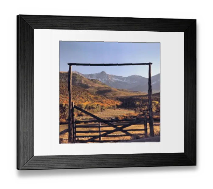 Framed Print : USA, Colorado, San Juan Mountains. Sheep fill the pasture on a ranch in the San Juan