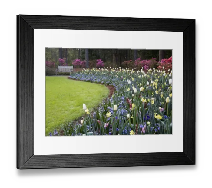 Framed Print : USA, Georgia, Pine Mountain. A border of spring flowers Framed Print : USA, Georgia, Pine Mountain. A border of spring flowers