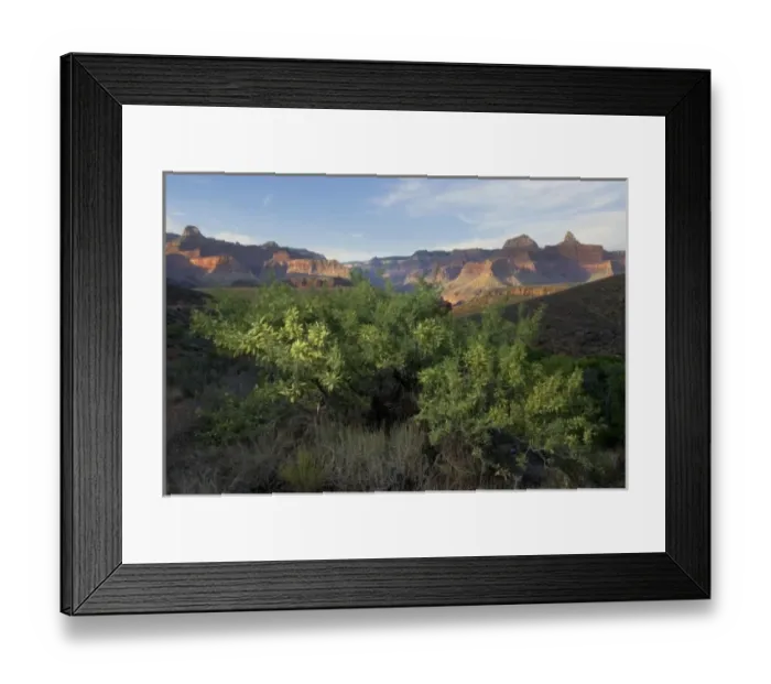 Framed Print : USA, North America, Arizona Framed Print : USA, North America, Arizona