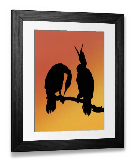 Framed Print : North America, USA, Florida, Merritt Island, digitally altered, silhouettes of a Framed Print : North America, USA, Florida, Merritt Island, digitally altered, silhouettes of a