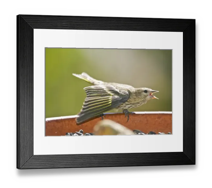 Framed Print : USA, North America, Colorado Framed Print : USA, North America, Colorado