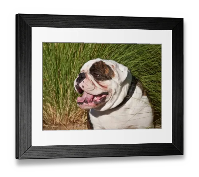 Framed Print : USA, North America, California Framed Print : USA, North America, California