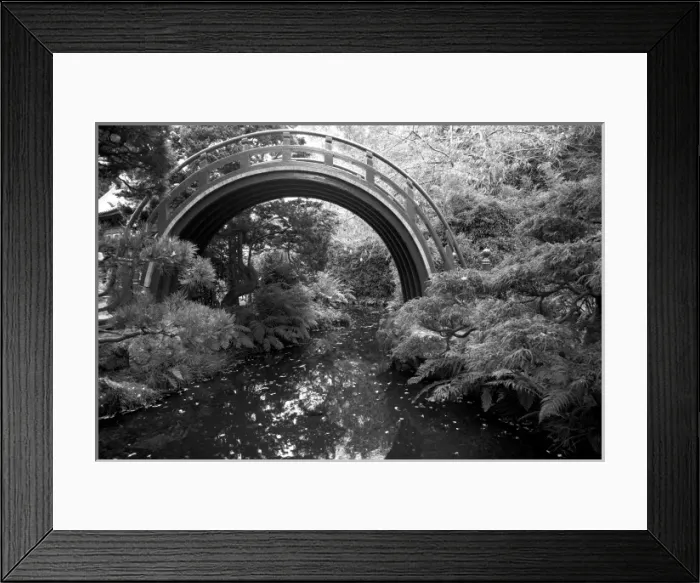Framed Print : Black and White Arched Bridge in the Japanese Gardens in Golden Gate Park, San Francisco Framed Print : Black and White Arched Bridge in the Japanese Gardens in Golden Gate Park, San Francisco