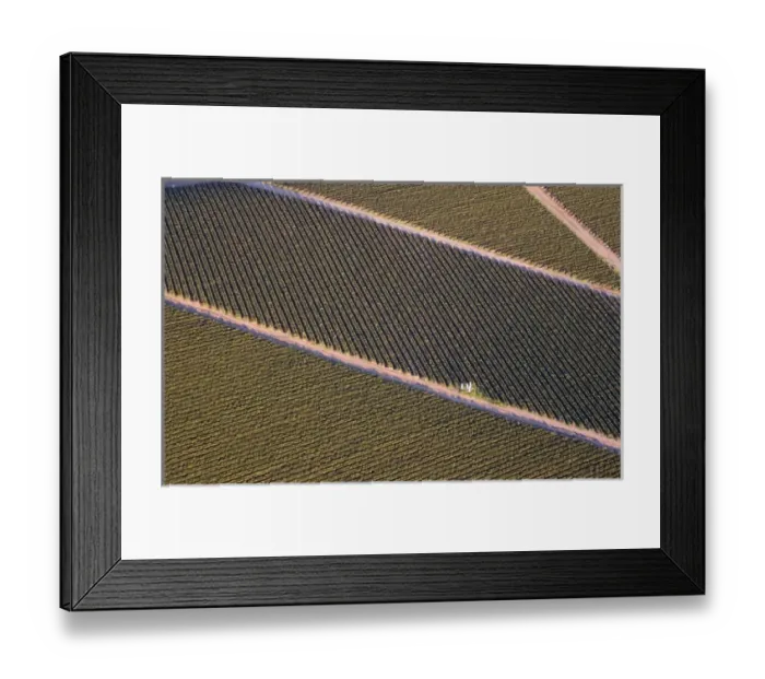 Framed Print : USA. California. Watsonville. Aerial of strawberry fields in Watsonville form patterns and shapes Framed Print : USA. California. Watsonville. Aerial of strawberry fields in Watsonville form patterns and shapes