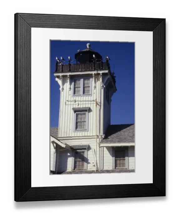 Framed Print : California, Los Angeles, seagulls perched atop Point Fermin Lighthouse on Paseo Del Mar