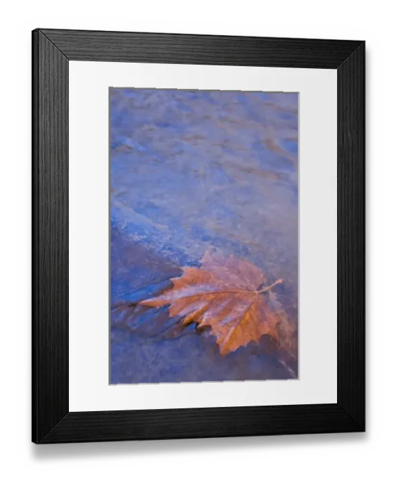 Framed Print : USA, Arkansas. Ozark Mountains. Leaf under flowing water in Rich Creek