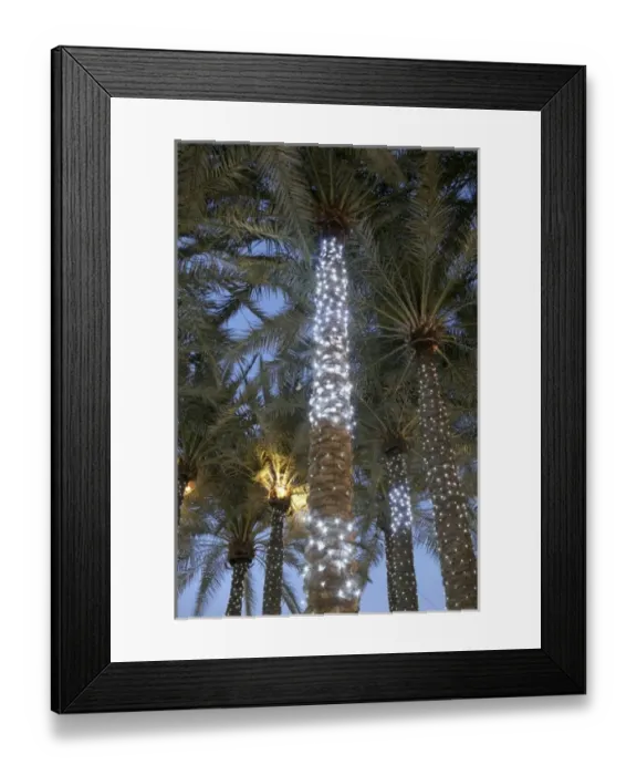 Framed Print : Evening lighting Arizona Center downtown Phoenix, Arizona Framed Print : Evening lighting Arizona Center downtown Phoenix, Arizona