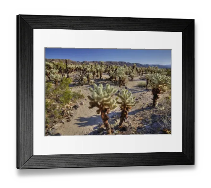 Framed Print : USA, North America, California