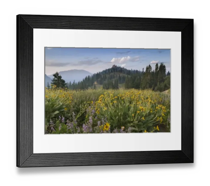 Framed Print : USA, North America, California Framed Print : USA, North America, California